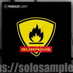 Producer Loops Burning MULTi