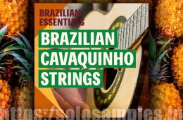 Brazilian Cavaquinho Strings WAV