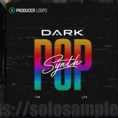 Producer Loops Dark Synth Pop MULTi