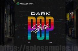 Producer Loops Dark Synth Pop MULTi