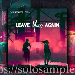 Producer Loops Leave You Again MULTi