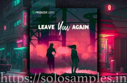 Producer Loops Leave You Again MULTi