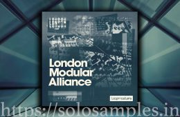 Loopmasters London Modular Alliance MULTi