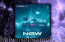 Producer Loops Look At Me Now MULTi