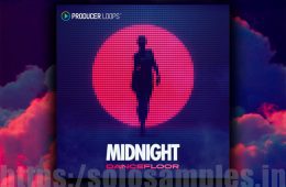 Producer Loops Midnight Dancefloor MULTi