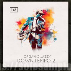 Organic Jazzy Downtempo v2 MULTi