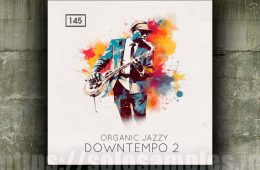 Organic Jazzy Downtempo v2 MULTi