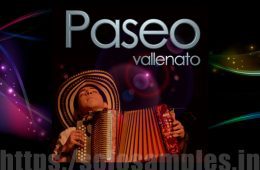 Ritmo Vallenato Paseo Vallenato MULTi