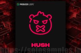 Producer Loops HUSH POP MULTi