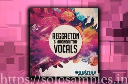 Reggaeton And Moombahton Vocals WAV-MiD