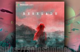 Producer Loops Renegade MULTi