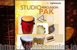 Studio Percussion Pak MULTi