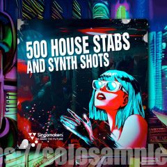 500 House Stabs and Synth Shots MULTi