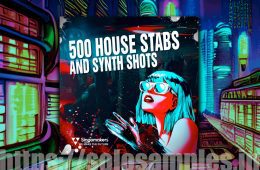 500 House Stabs and Synth Shots MULTi