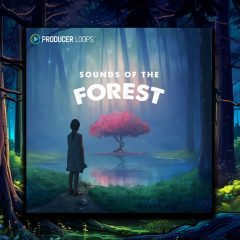 Sounds of the Forest MULTi
