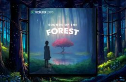 Sounds of the Forest MULTi