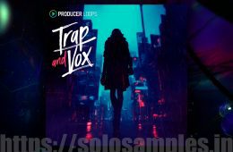 Producer Loops Trap And Vox MULTi