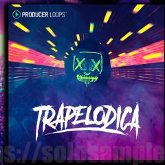 Producer Loops Trapelodica MULTi