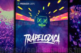 Producer Loops Trapelodica MULTi