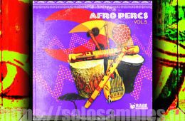 RARE Percussion Afro Percs Vol5 WAV