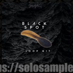 Black Spot Loop Kit WAV