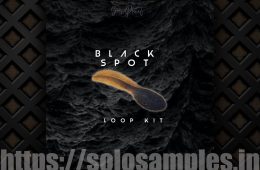 Black Spot Loop Kit WAV