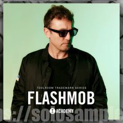 Flashmob Trademark Series WAV