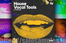 Hy2rogen House Vocal Tools MULTi