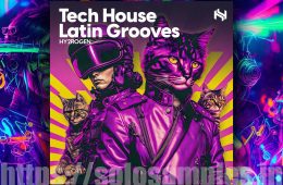 Hy2rogen Tech House Latin Grooves MULTi