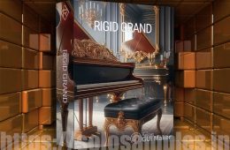 Rigid Grand Piano KONTAKT