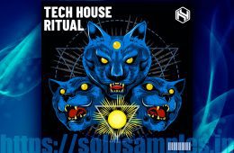 Hy2rogen Tech House Ritual MULTi