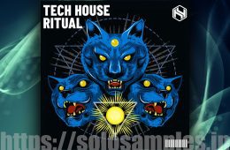 Hy2rogen Tech House Ritual MULTi