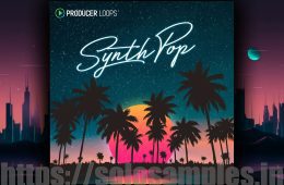 Producer Loops Synth Pop MULTi