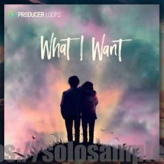 Producer Loops What I Want MULTi