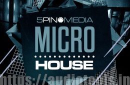 5Pin Media Micro House MULTI