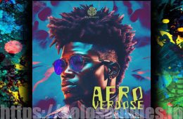 AfrOverdose WAV-MiD