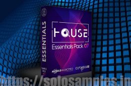 Essentials Sample Pack 07 WAV