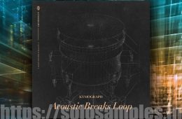 KYMOGRAPH Acoustic Breaks Loop WAV