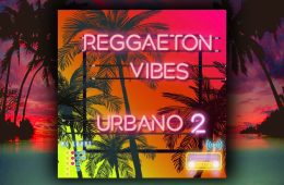 Ms Loopz Reggaeton Vibes Urbano 2 WAV