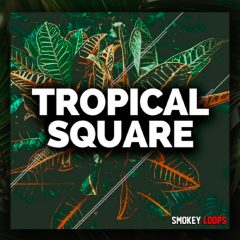 Smokey Loops Tropical Square WAV-MiDi