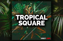 Smokey Loops Tropical Square WAV-MiDi
