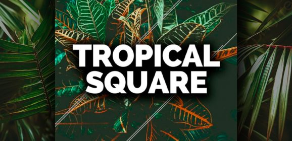 Smokey Loops Tropical Square WAV-MiDi