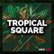 Smokey Loops Tropical Square WAV-MiDi