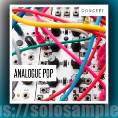 Concept Samples Analogue Pop WAV