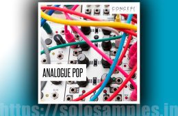 Concept Samples Analogue Pop WAV