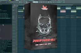Barrio Canino Vol2 Sample Pack WAV