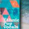 Producer Loops Ethnic Pop Vocals WAV