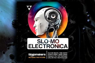 Singomakers Slo-Mo Electronica WAV
