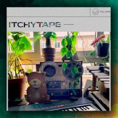NuWav Itchytape Lofi Hip Hop WAV