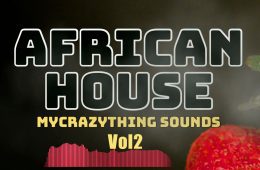 African House Vol 2 WAV